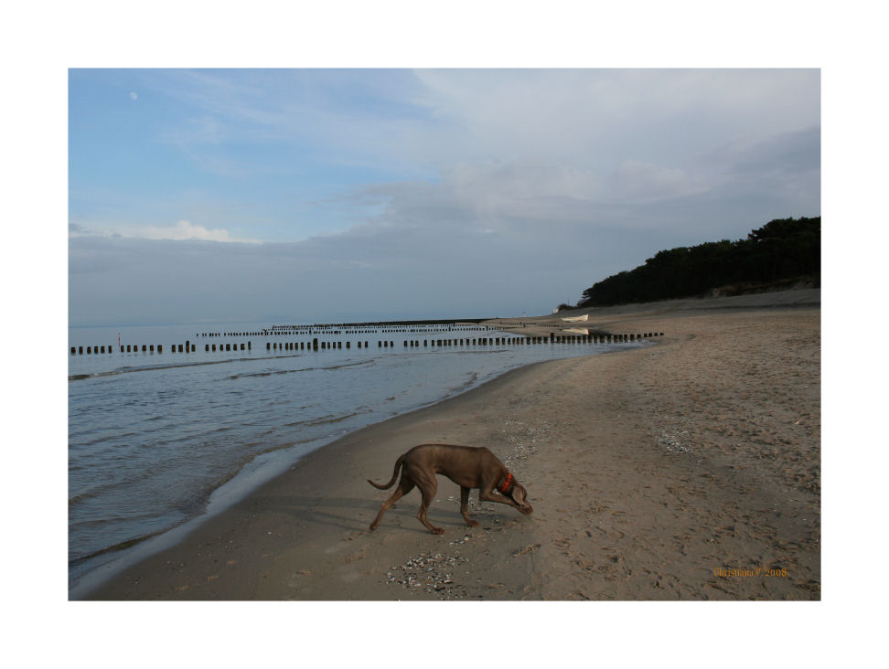 einsamer Strand