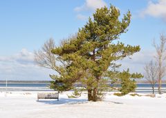 Einsamer Strand