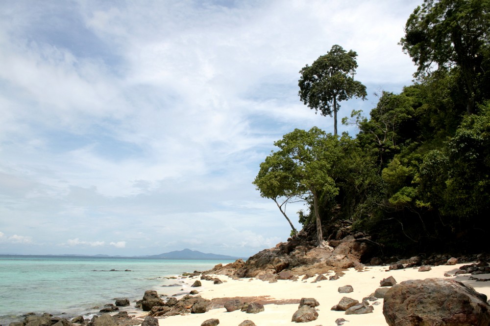 Einsamer Strand auf Bamboo Island II