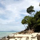 Einsamer Strand auf Bamboo Island II