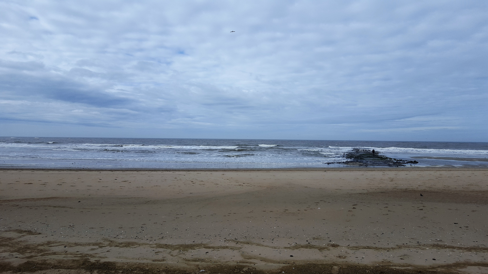 Einsamer Strand auf Texel