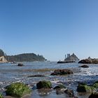 Einsamer Strand... im Olympic National Park im US Bundesstaat Washington