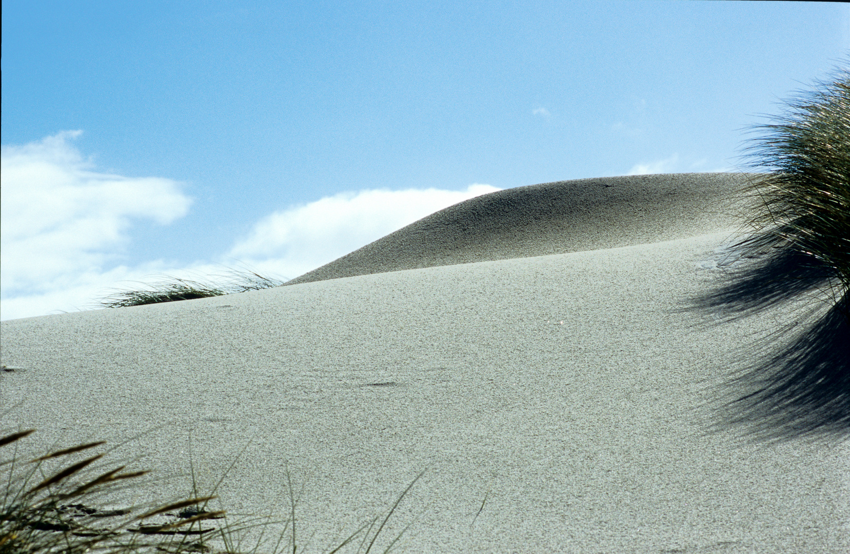 einsamer Strand in Dänemark