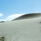 einsamer Strand in Dänemark