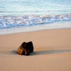 Einsamer Strand in Fuerteventura