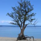 Einsamer Strandabschnitt auf LaReunion!