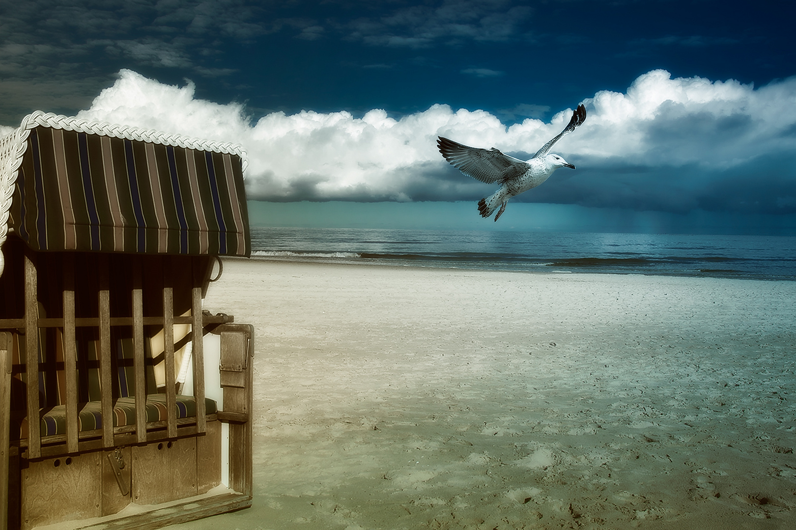 einsamer Strandkorb mit Möwe