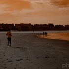 einsamer Strandläufer