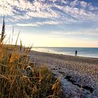 Einsamer Strandläufer