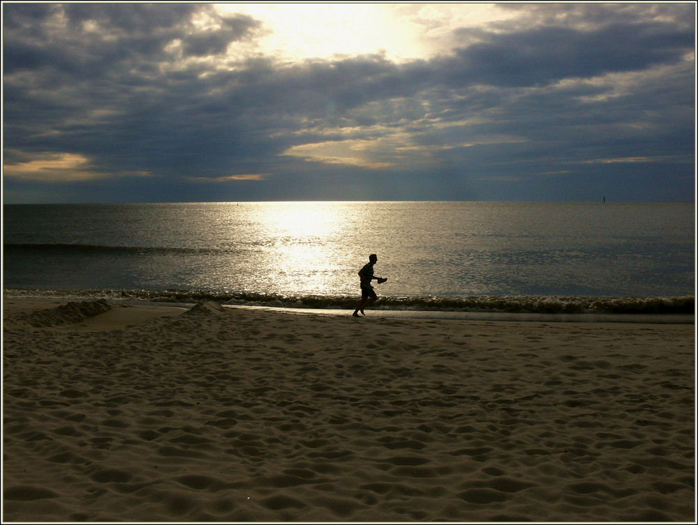 Einsamer Strandläufer