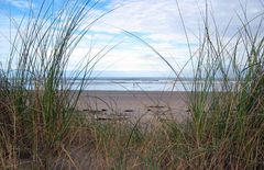 Einsamer Strandspaziergang