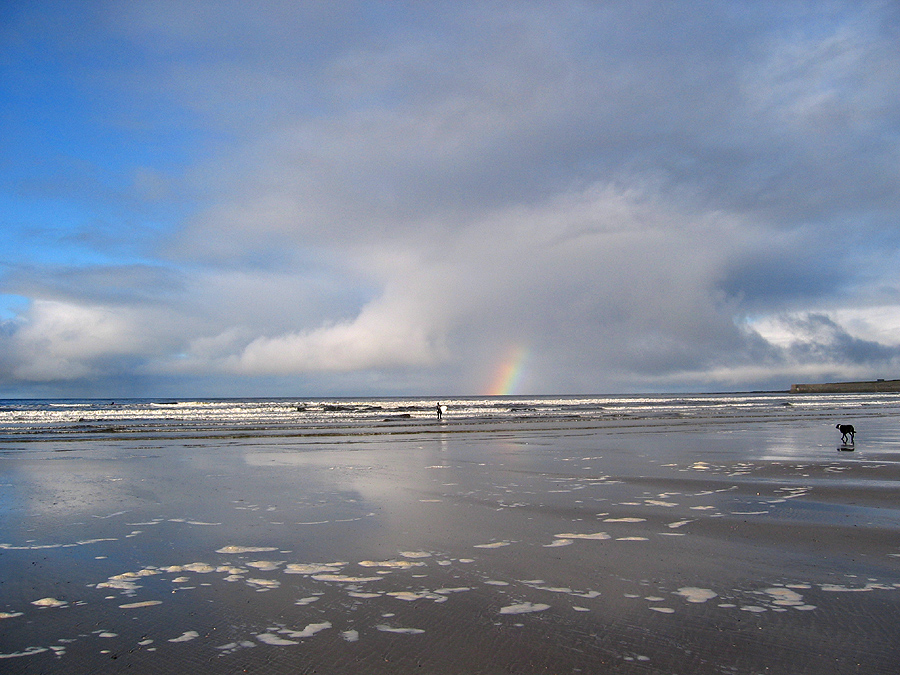 Einsamer Surfer mit Hund