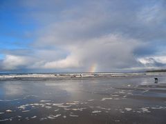 Einsamer Surfer mit Hund