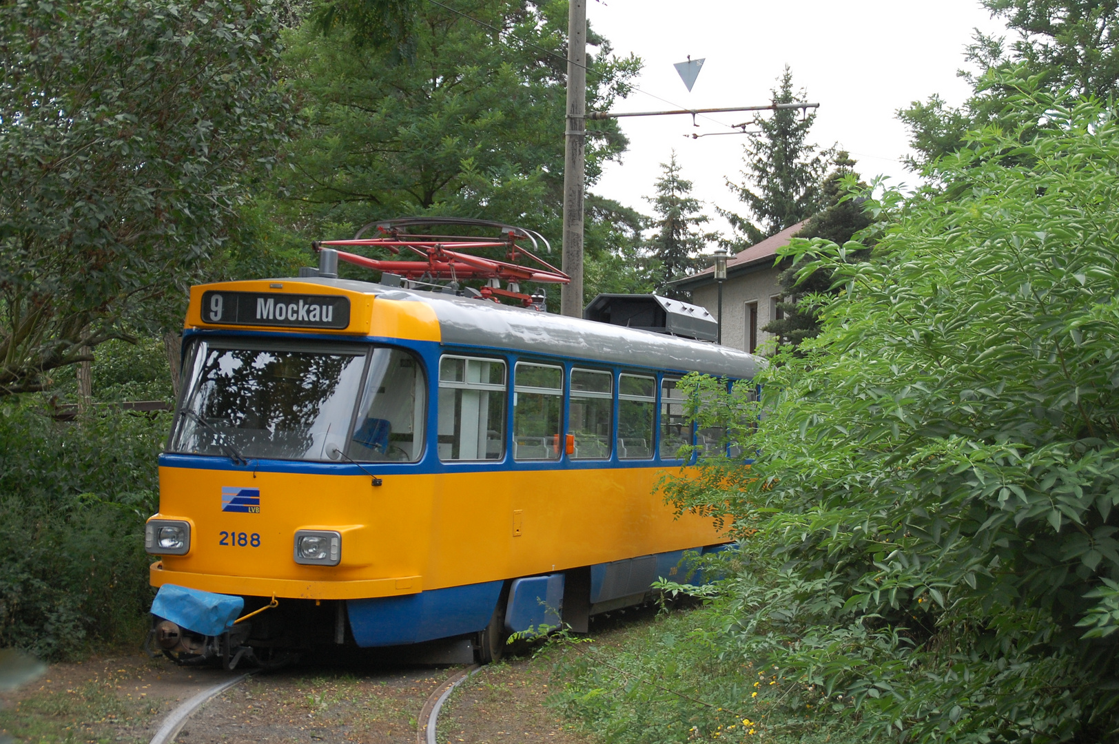 Einsamer Tatra in Markkleeberg-Mitte