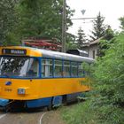 Einsamer Tatra in Markkleeberg-Mitte