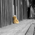 Einsamer Teddy auf dem Güterboden