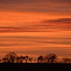 Einsamer Vogel im Sonnenuntergang