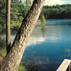 Einsamer Waldsee