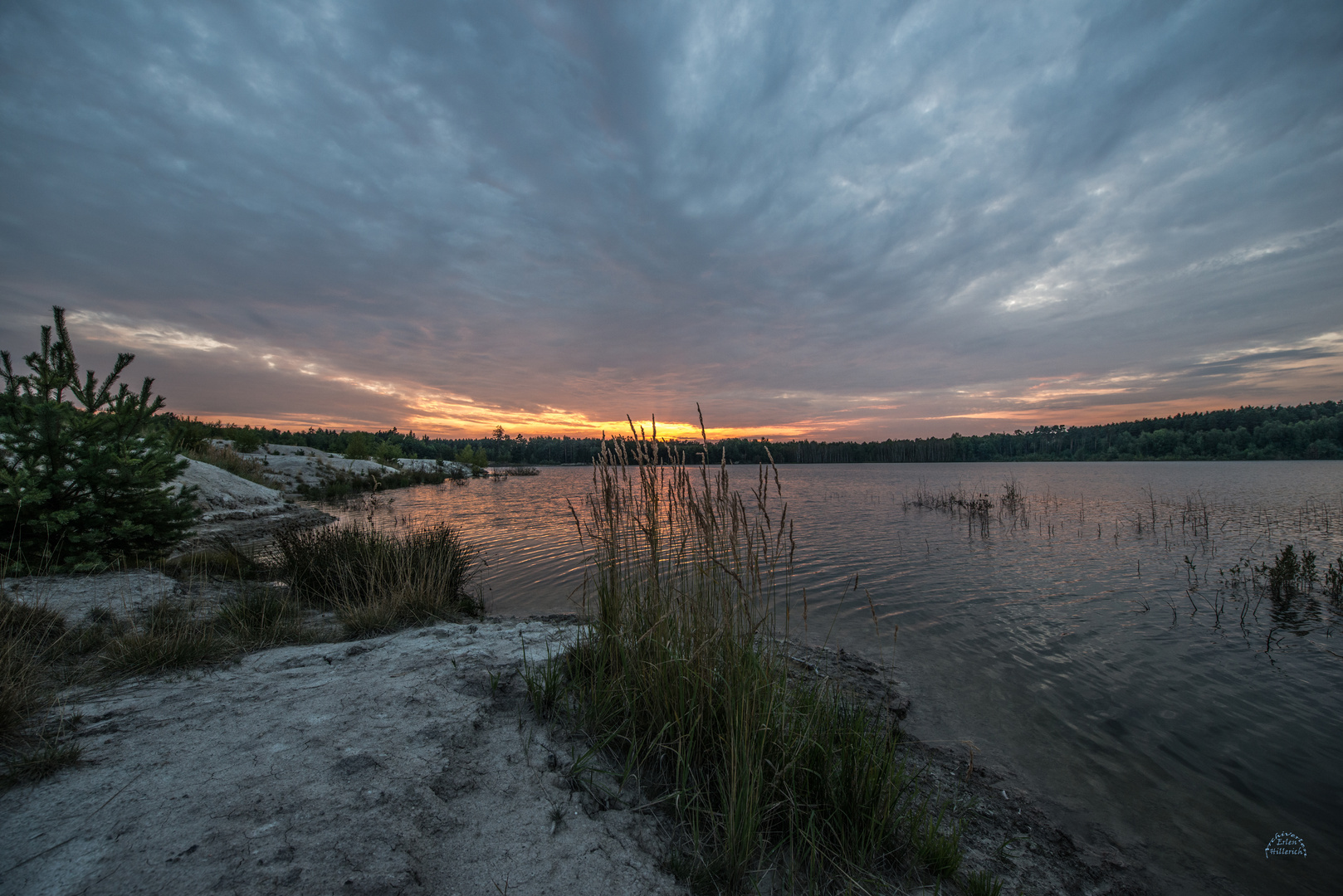 Einsamer Waldsee