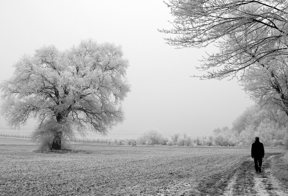 Einsamer Wanderer