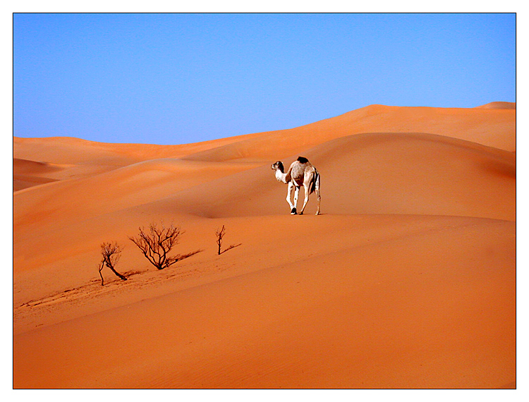 Einsamer Wanderer...