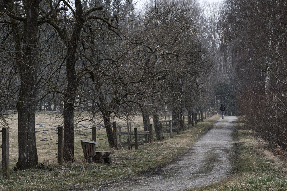 Einsamer Wanderer