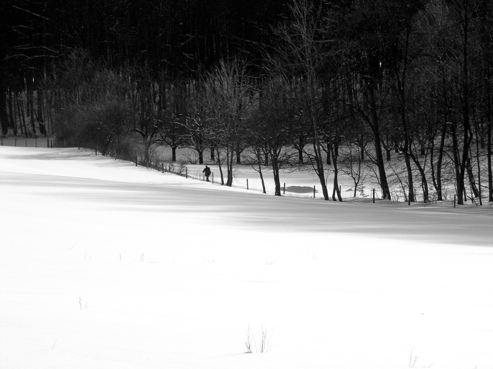 einsamer Wanderer in verschneiter Landschaft