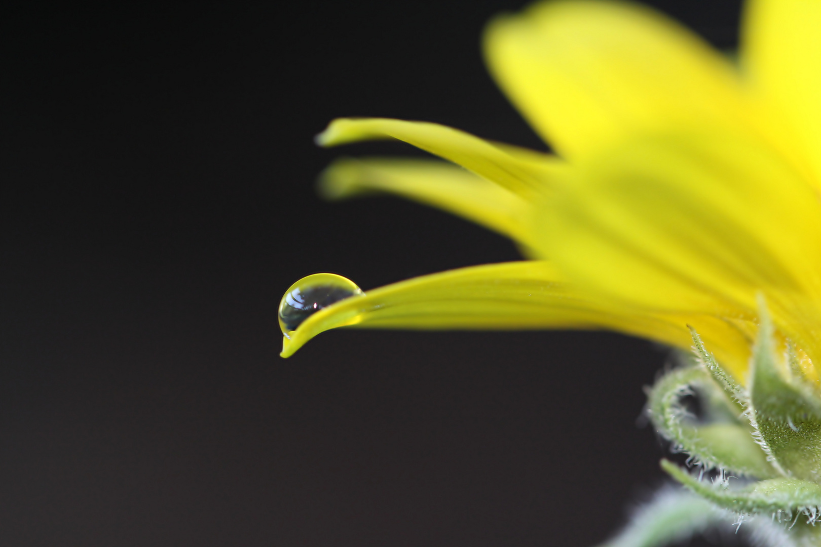 Einsamer Wassertropfen