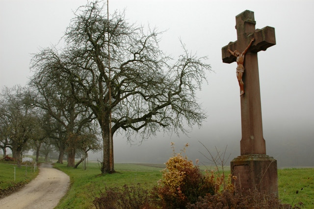 Einsamer Weg