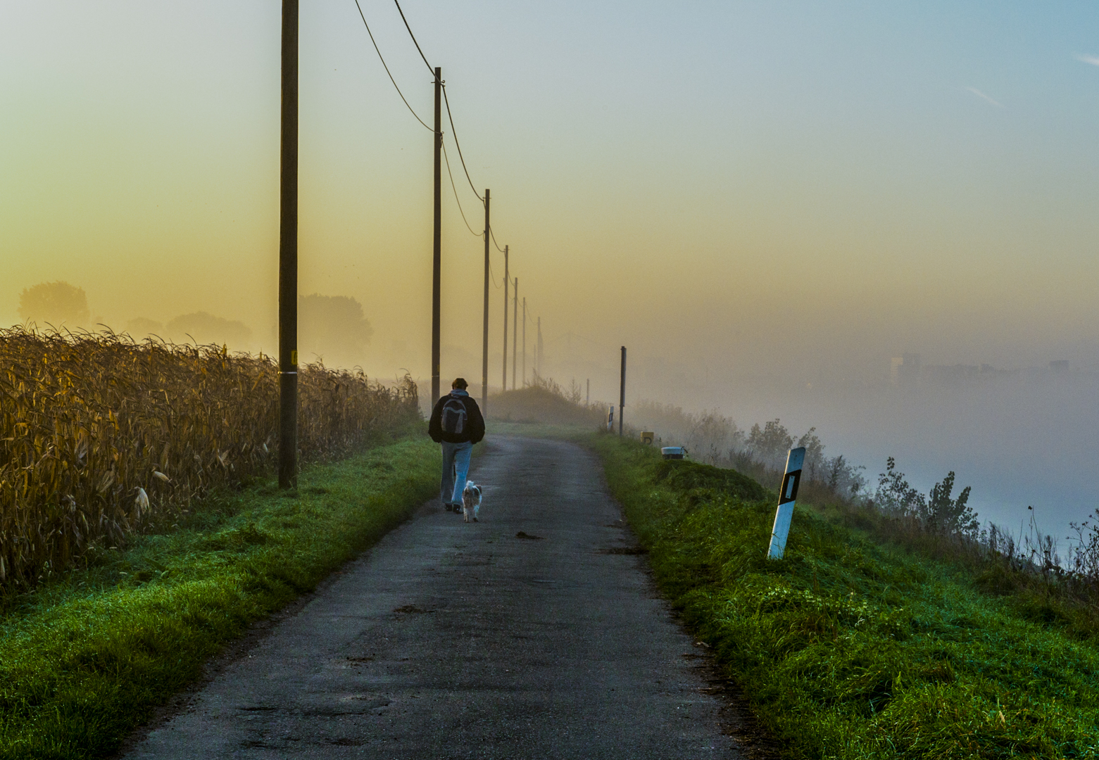 Einsamer Weg