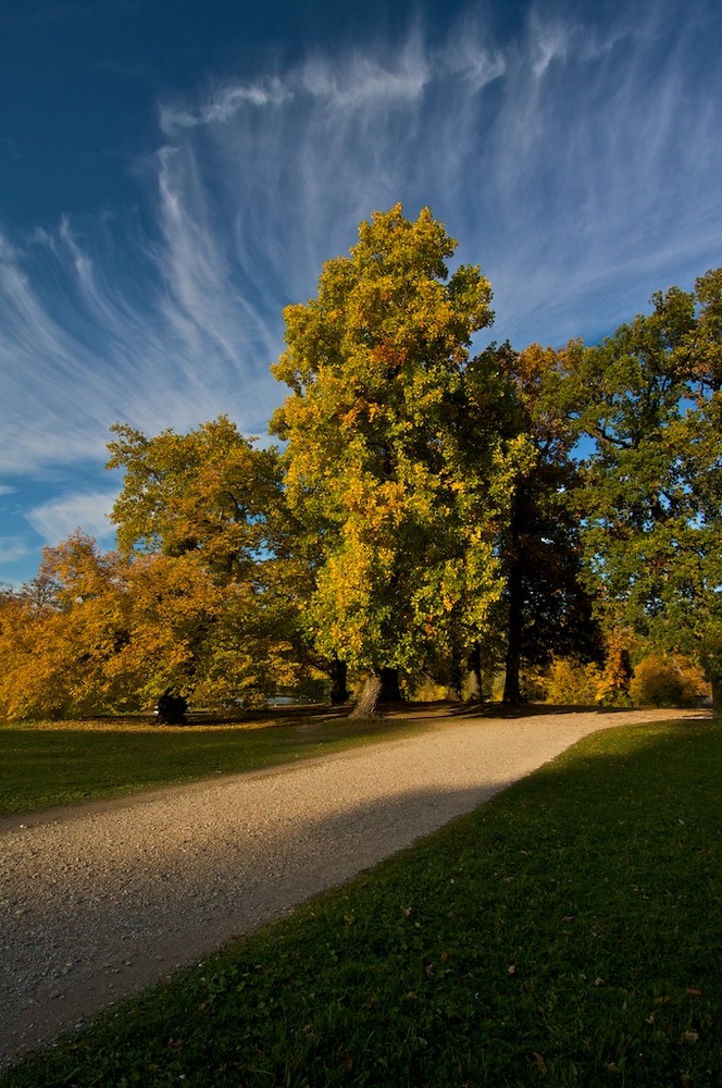 Einsamer Weg - vielfältige Wolken