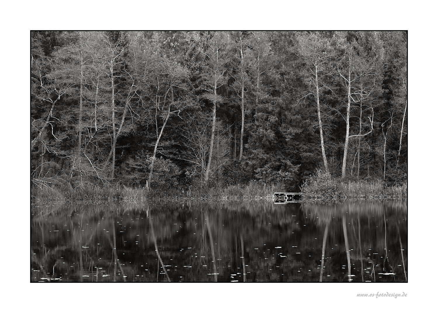 Einsamer Weiher im Wald