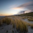 einsamer Wintermorgen auf Sylt