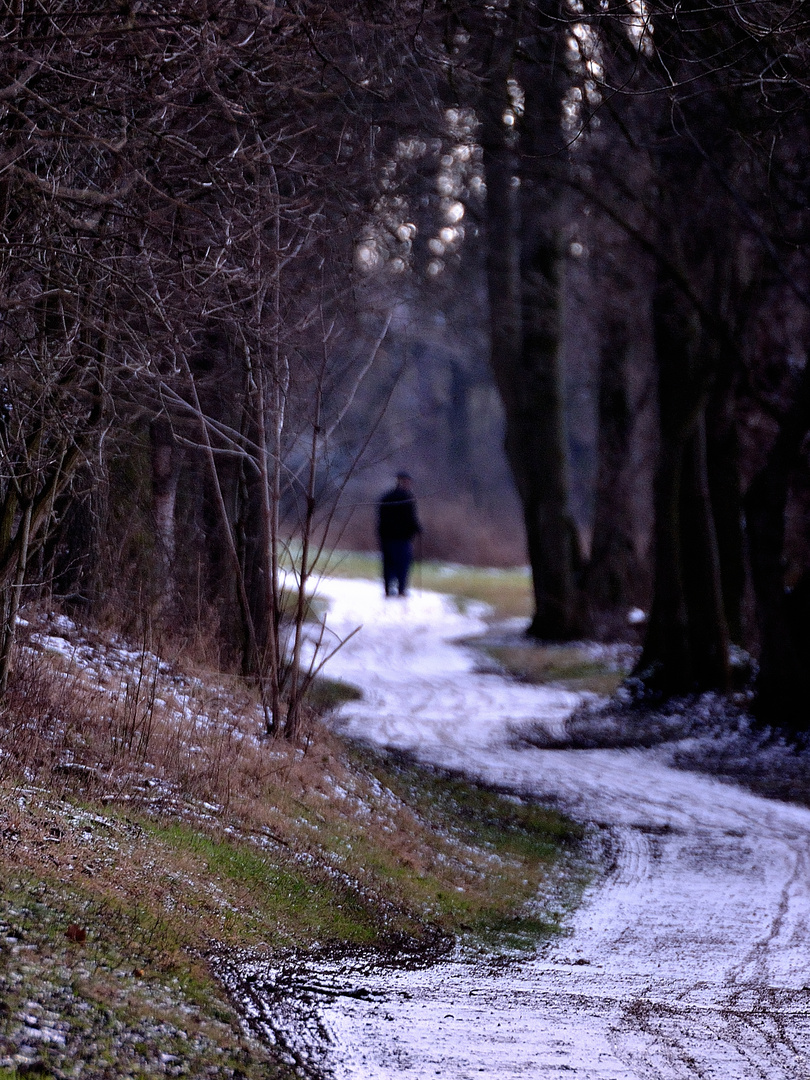 Einsamer Winterspaziergang