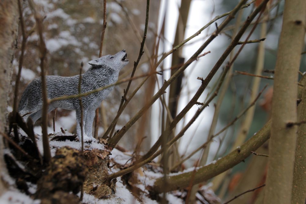 Einsamer Wolf