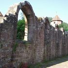 Einsamer Wolf Tour - Kloster Hirsau 3