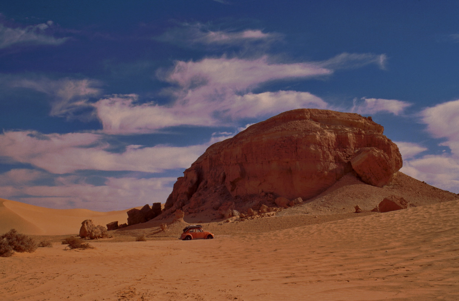 Einsamer Wüstenkäfer in der Libyschen Sahara