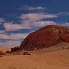 Einsamer Wüstenkäfer in der Libyschen Sahara