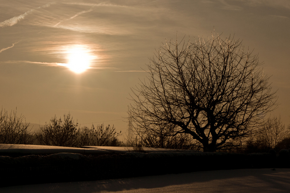 Einsamer, Zweisamer Winterglanz