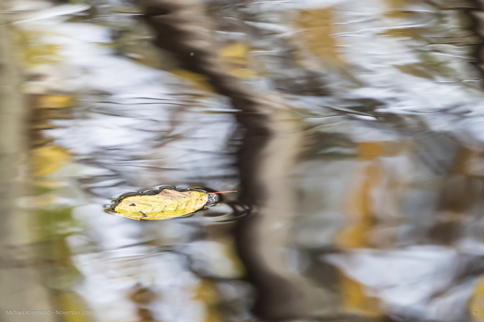 Einsames Blatt auf spiegelndem Wasser