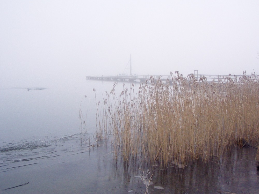 Einsames Boot im Nebel