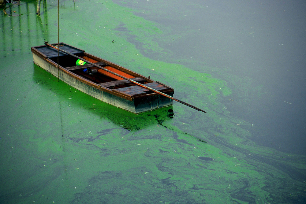 Einsames Boot mit grünem Eimer, Ungarn