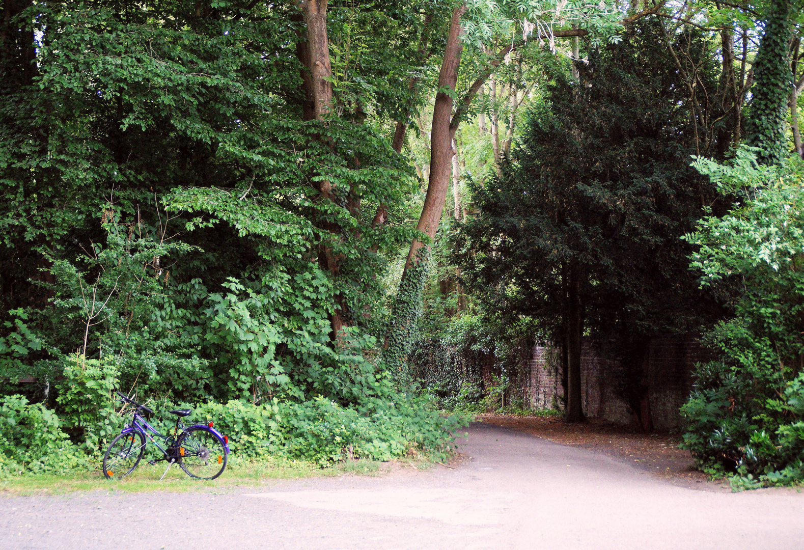 Einsames Fahrrad 