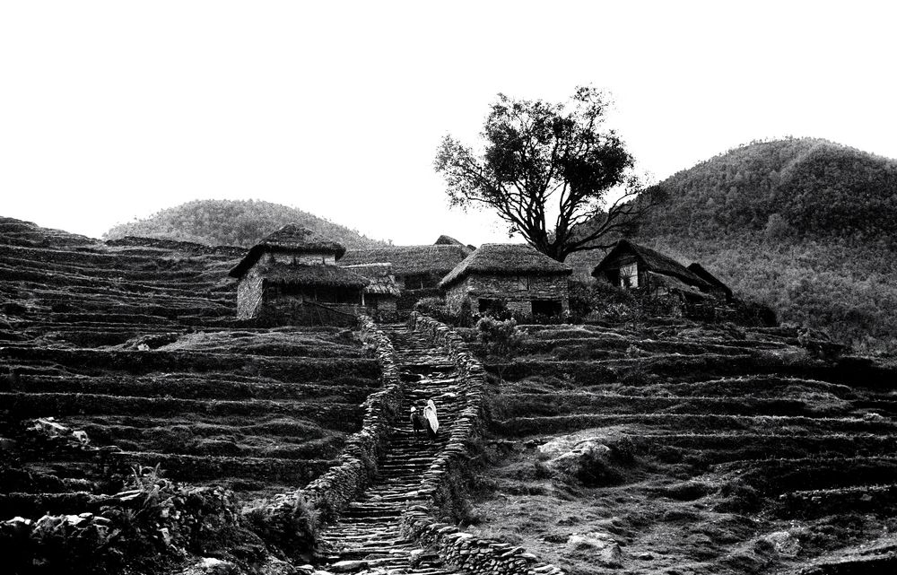 Einsames Gehöft im Kali Gandaki - Tal