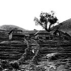 Einsames Gehöft im Kali Gandaki - Tal