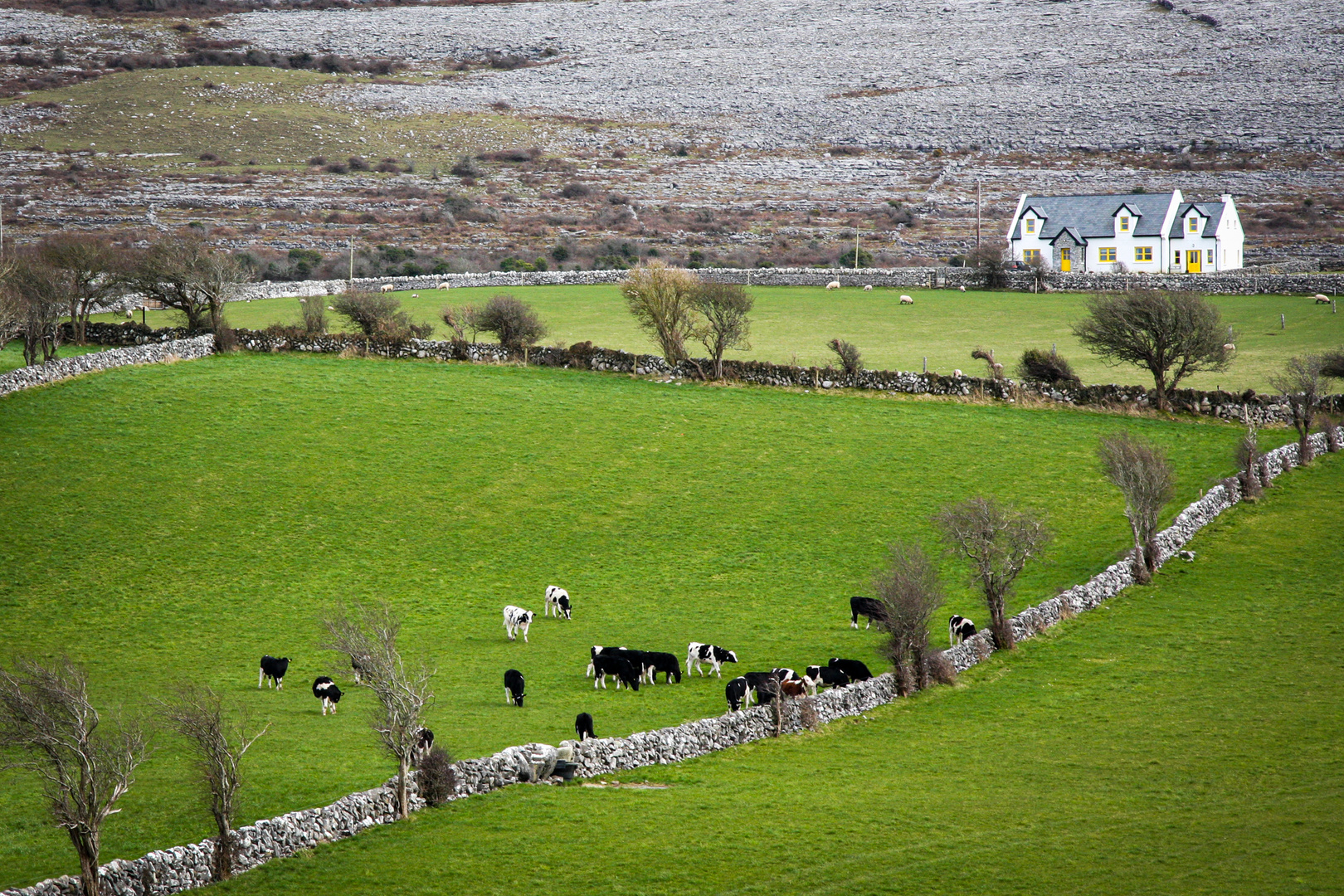 Einsames Haus am Burren