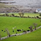 Einsames Haus am Burren