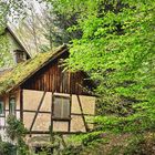 Einsames Haus am Mühlenweg Ottenhöfen