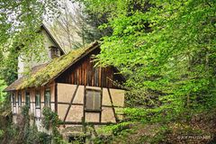 Einsames Haus am Mühlenweg Ottenhöfen