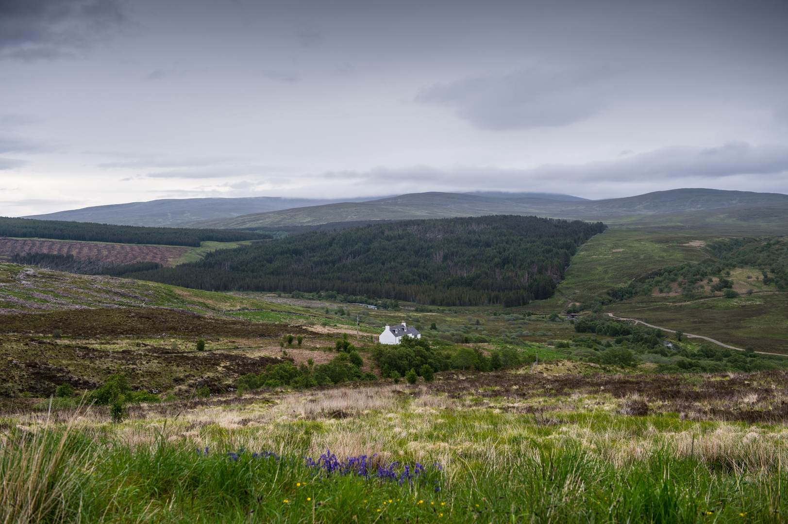 Einsames Haus Im Moor Foto Bild Landschaft Lebensraume